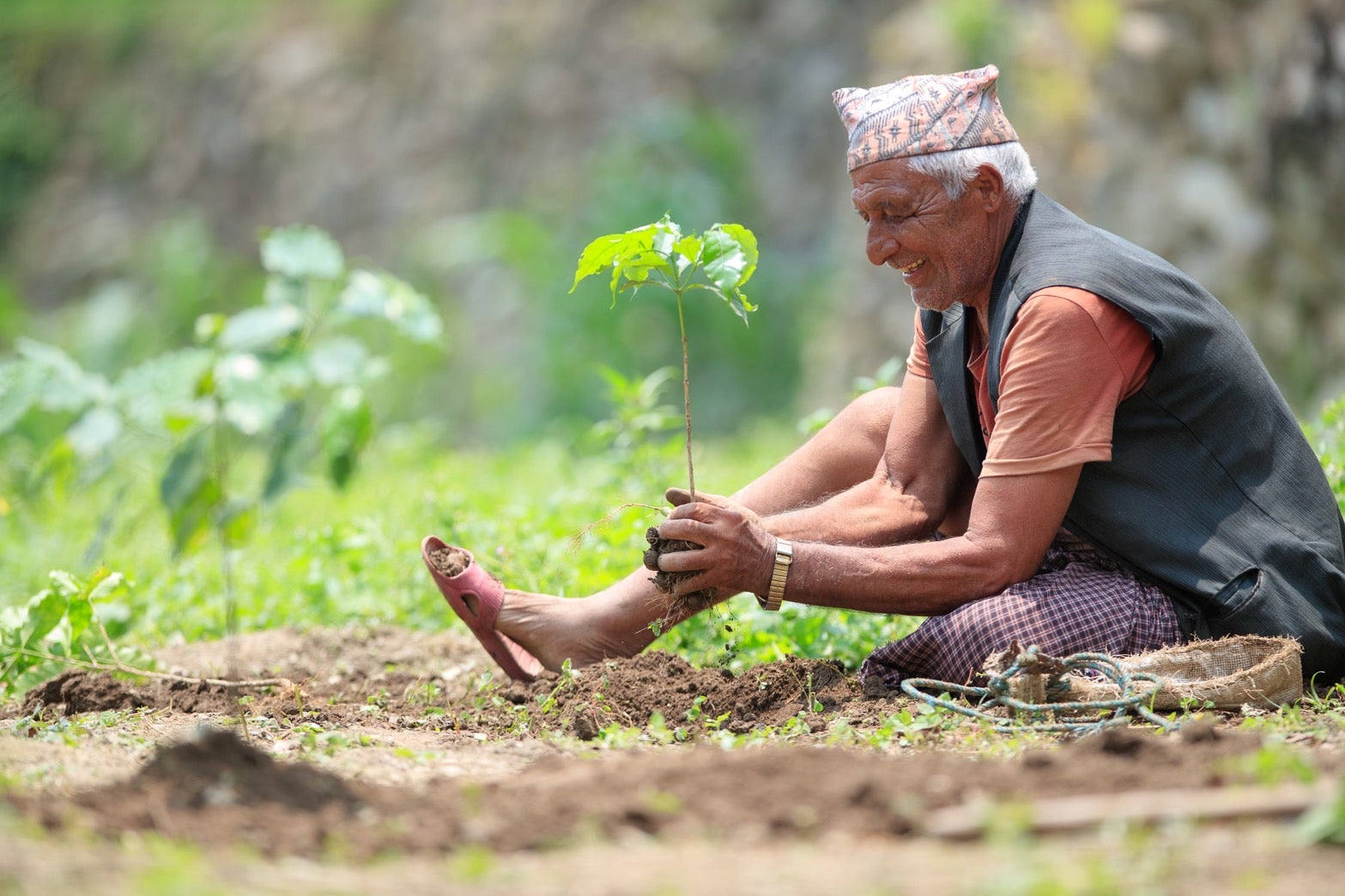 AU Coffee ドリップパック 10個セット