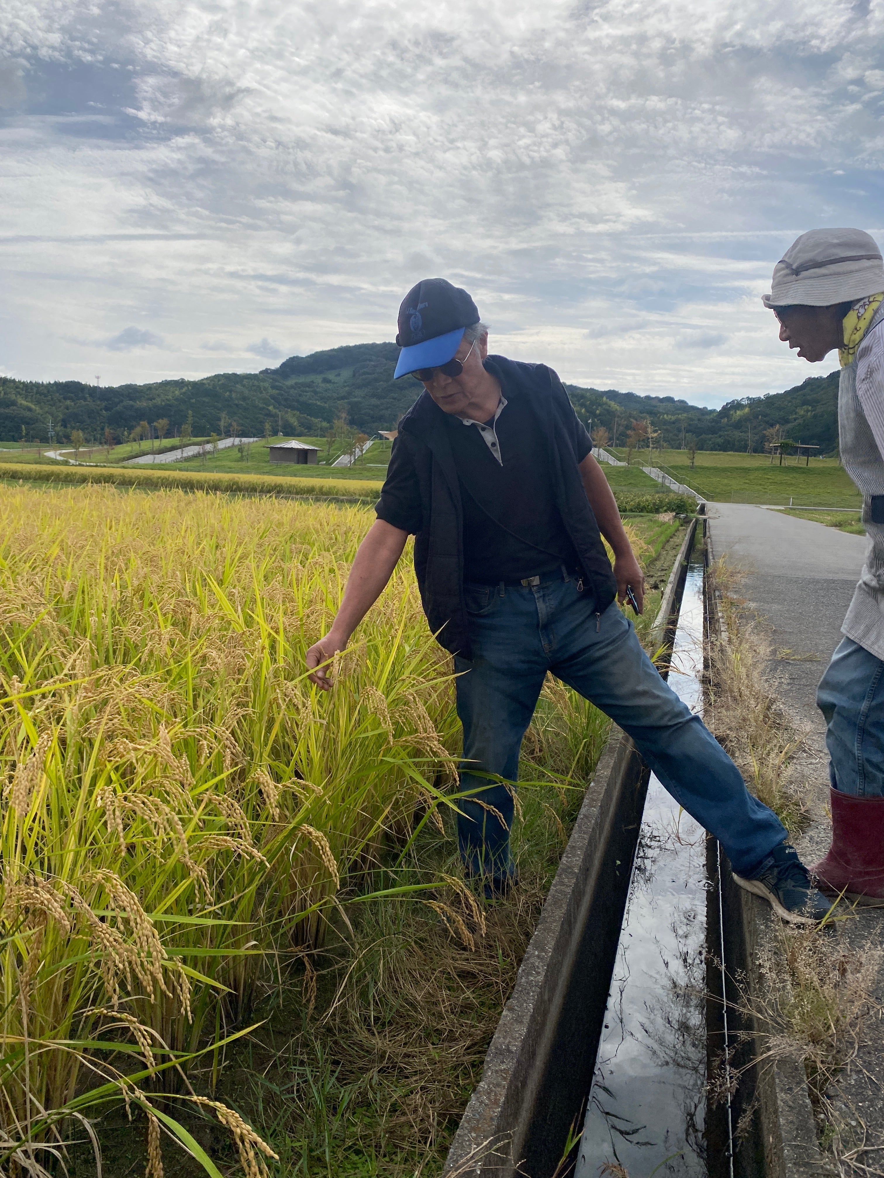 令和7年度産「さとっこ元氣米」 ― あなたの一口が、未来の田んぼを守ります。