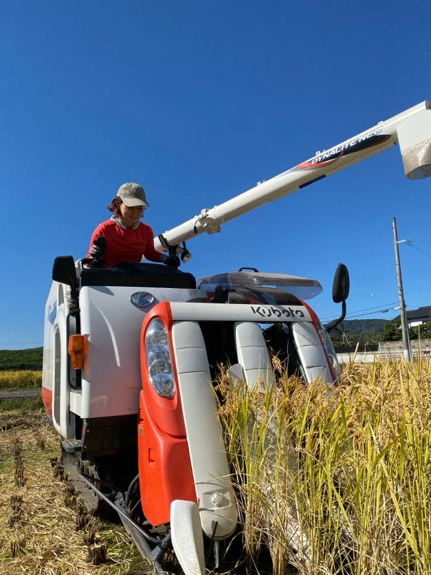 令和7年度産「さとっこ元氣米」 ― あなたの一口が、未来の田んぼを守ります。