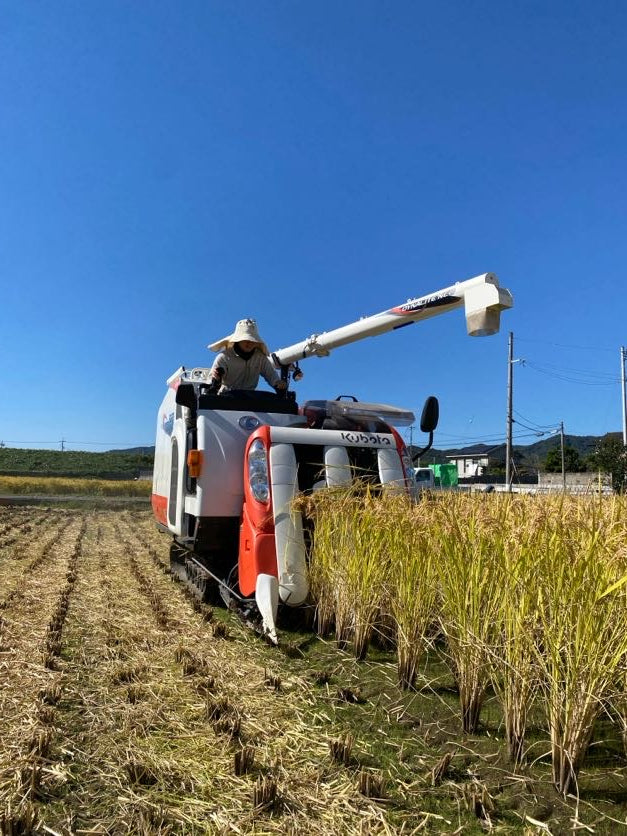 令和7年度産「さとっこ元氣米」 ― あなたの一口が、未来の田んぼを守ります。