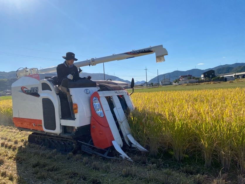 令和7年度産「さとっこ元氣米」 ― あなたの一口が、未来の田んぼを守ります。