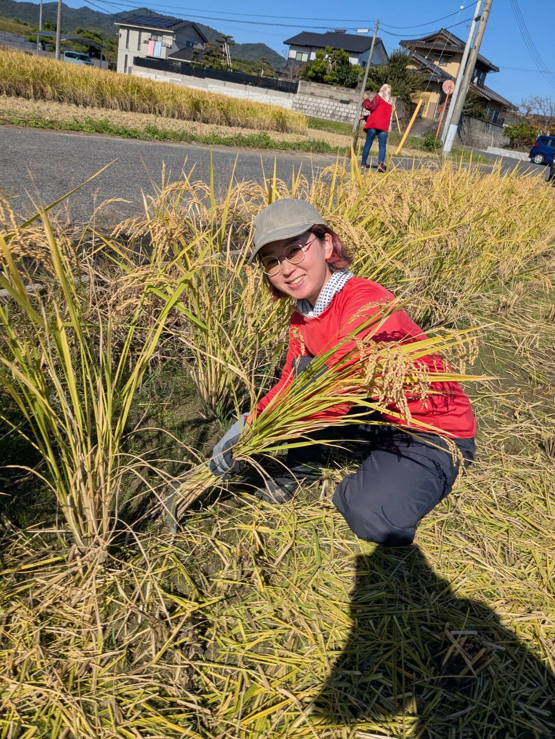 令和7年度産「さとっこ元氣米」 ― あなたの一口が、未来の田んぼを守ります。