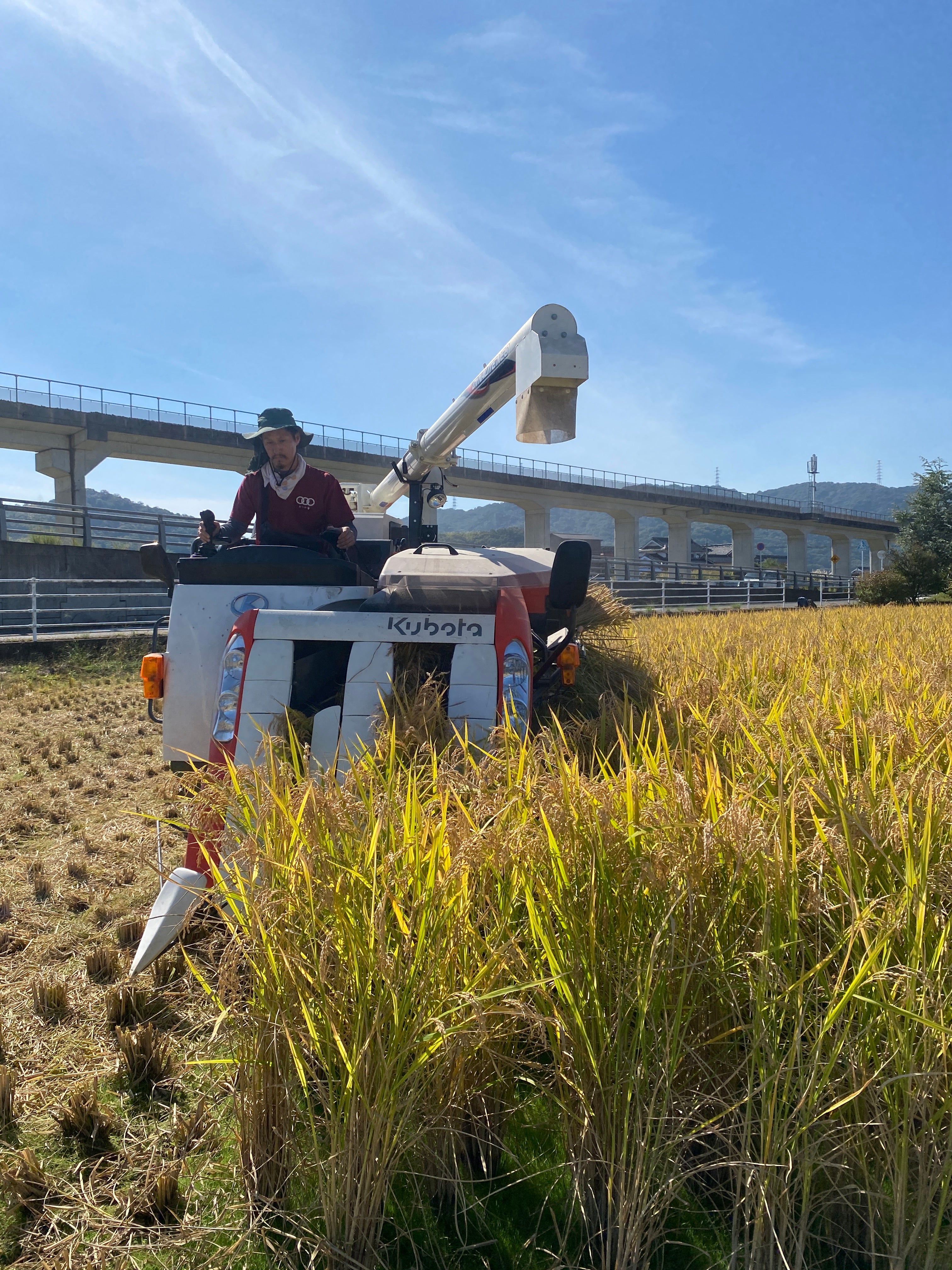 令和7年度産「さとっこ元氣米」 ― あなたの一口が、未来の田んぼを守ります。