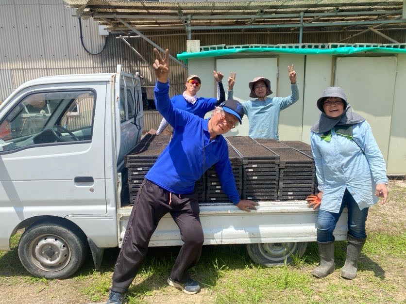 令和7年度産「さとっこ元氣米」 ― あなたの一口が、未来の田んぼを守ります。