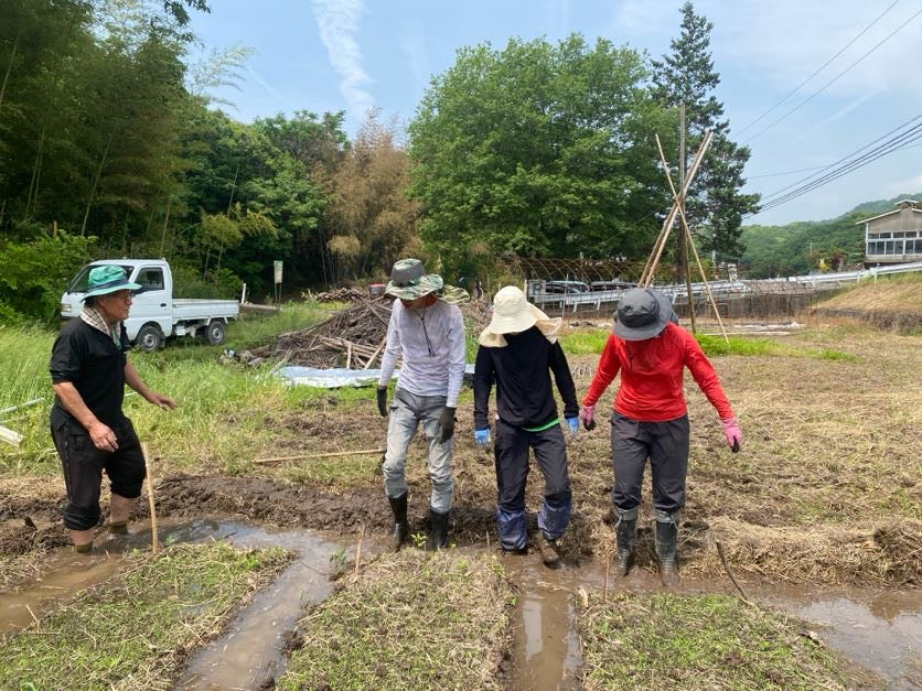 令和7年度産「さとっこ元氣米」 ― あなたの一口が、未来の田んぼを守ります。