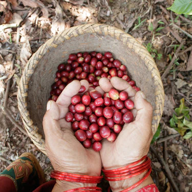 フェアトレード