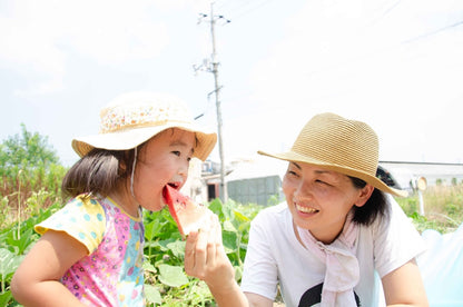 スコレー畑レンタル  自然栽培ベースの貸し農園　