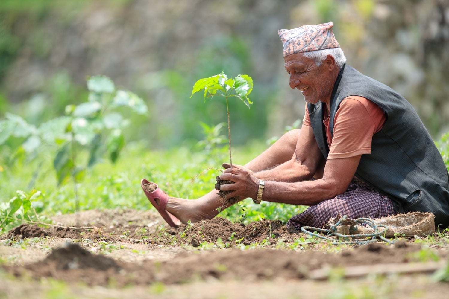 AU Coffee ドリップパック 10個セット