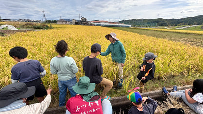 令和7年度産「さとっこ元氣米」 ― あなたの一口が、未来の田んぼを守ります。