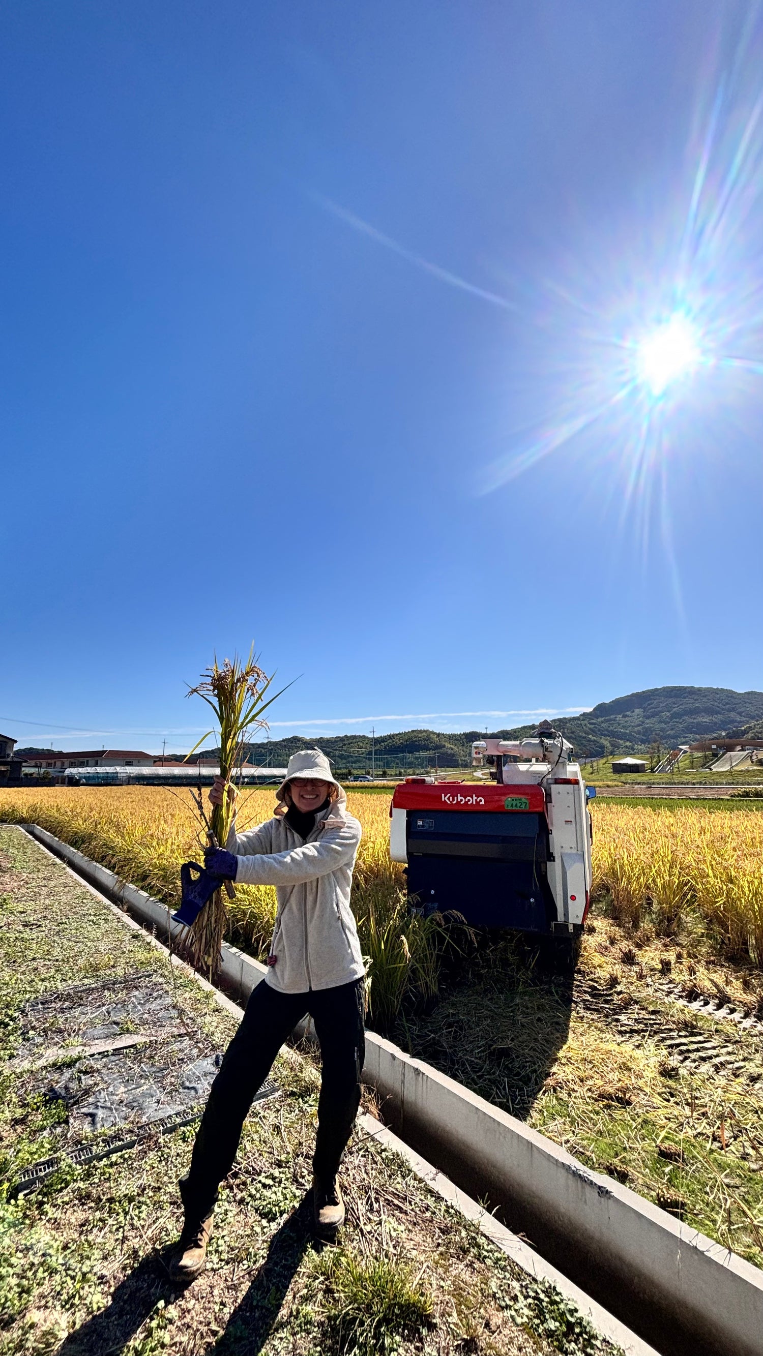 令和7年度産「さとっこ元氣米」 ― あなたの一口が、未来の田んぼを守ります。