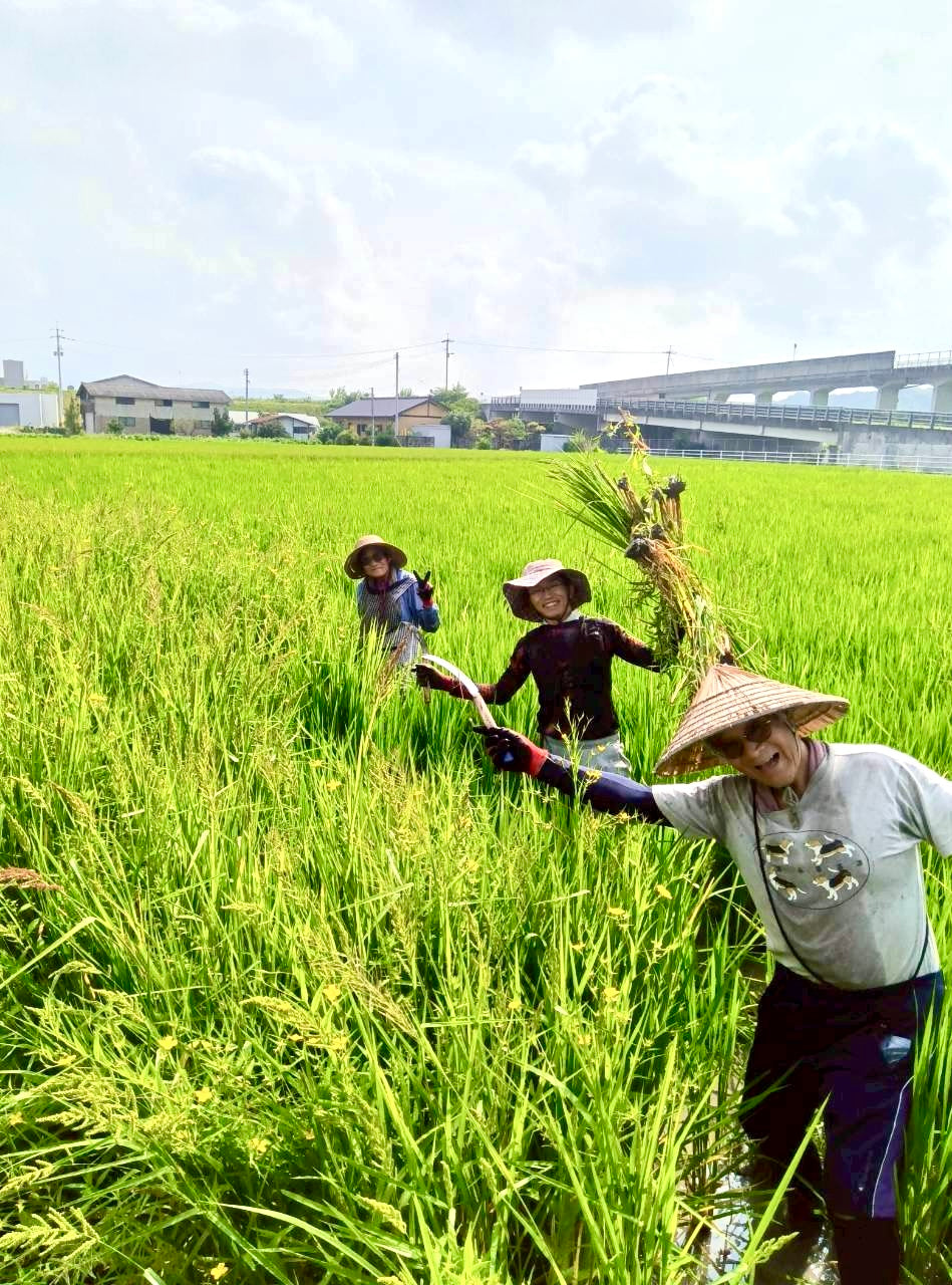 令和7年度産「さとっこ元氣米」 ― あなたの一口が、未来の田んぼを守ります。