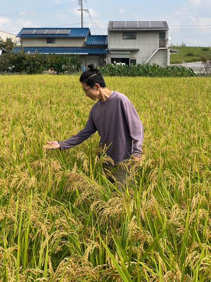 令和7年度産「さとっこ元氣米」 ― あなたの一口が、未来の田んぼを守ります。