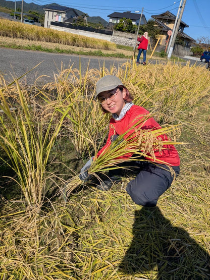 令和7年度産「さとっこ元氣米」 ― あなたの一口が、未来の田んぼを守ります。