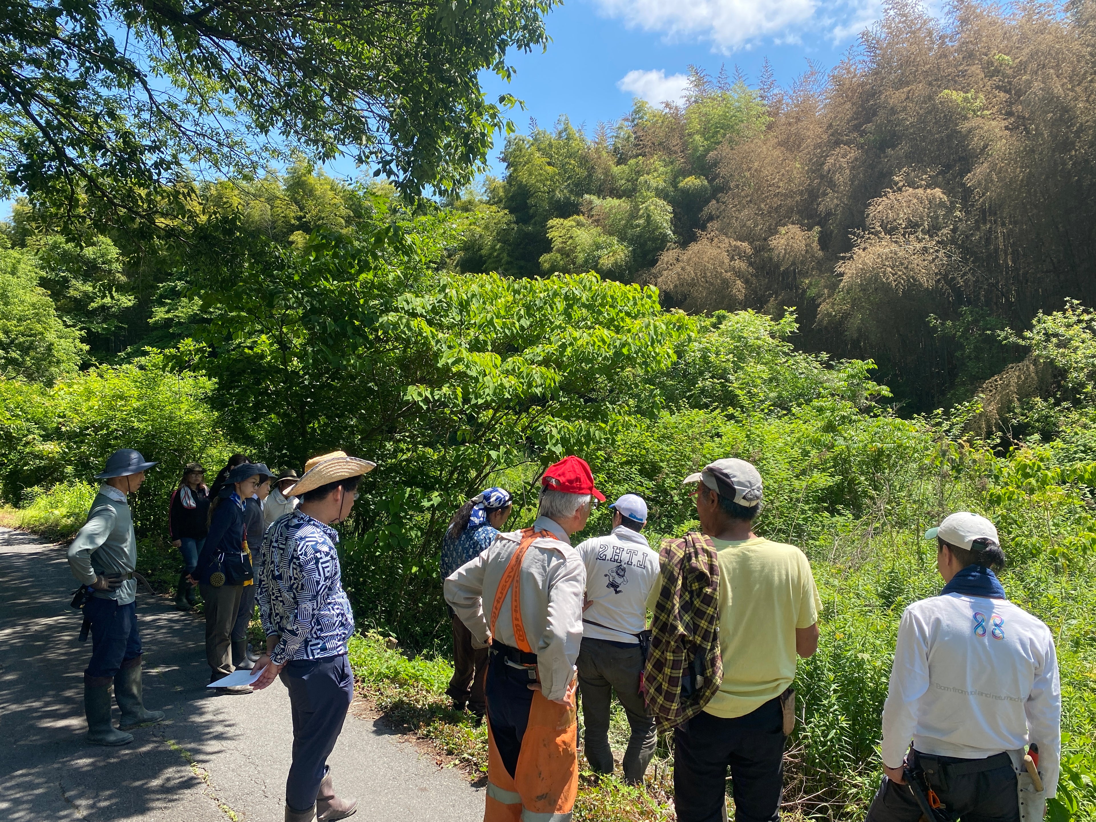 10月16日（木）スコレーパーク大地の再生講座、土留と階段づくり予定