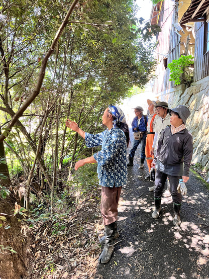 10月16日（木）スコレーパーク大地の再生講座、土留と階段づくり予定