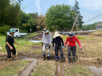 令和7年度産「さとっこ元氣米」 ― あなたの一口が、未来の田んぼを守ります。