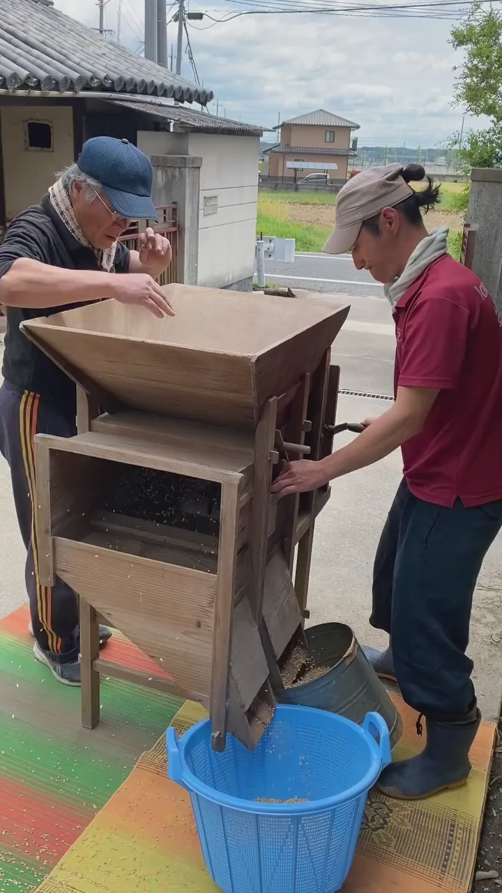 令和7年度産「さとっこ元氣米」 ― あなたの一口が、未来の田んぼを守ります。