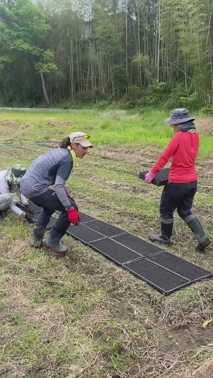 令和7年度産「さとっこ元氣米」 ― あなたの一口が、未来の田んぼを守ります。