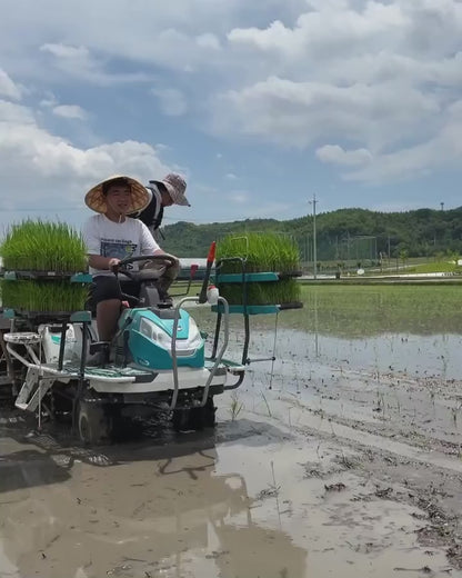 令和7年度産「さとっこ元氣米」 ― あなたの一口が、未来の田んぼを守ります。