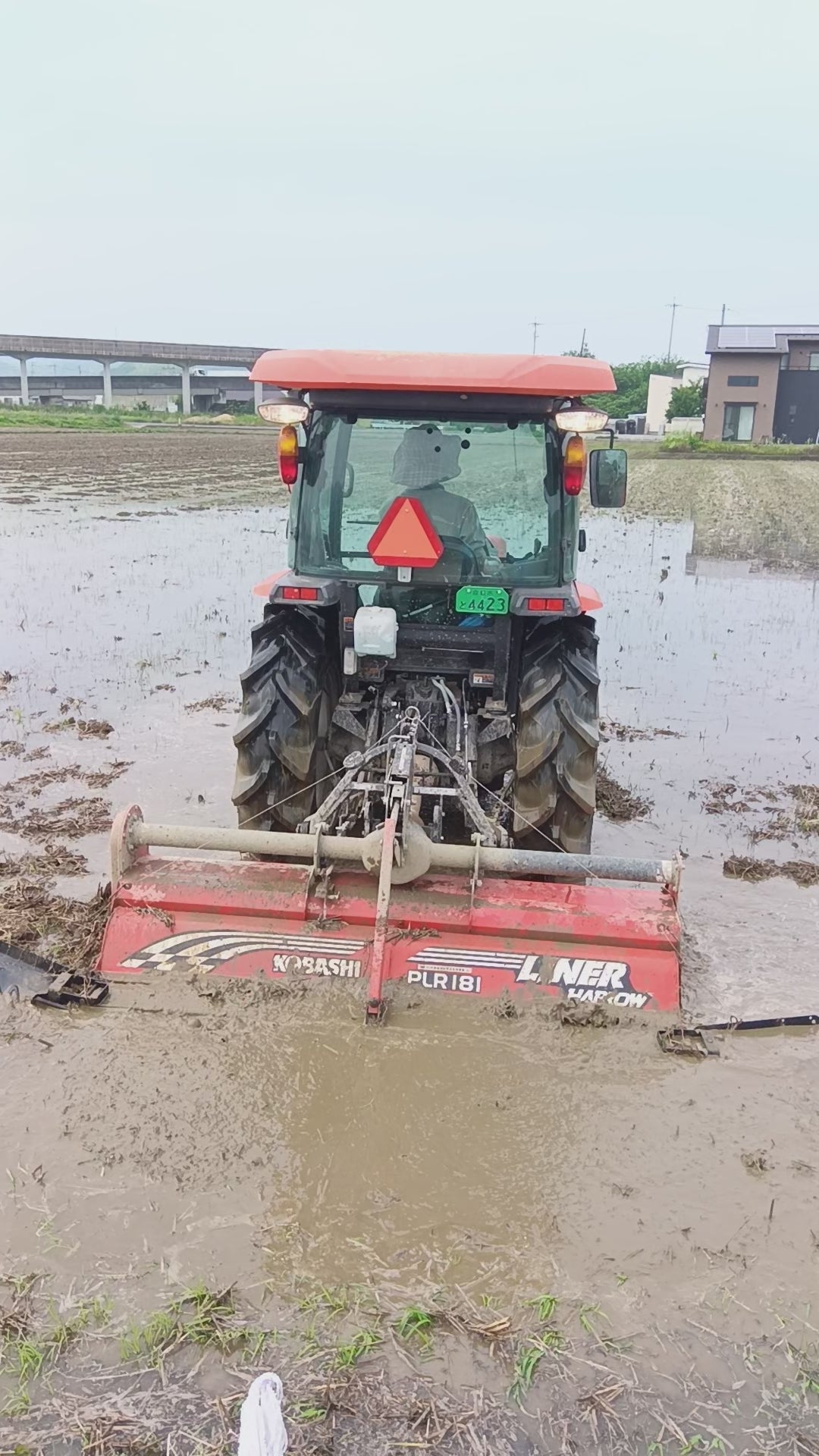 令和7年度産「さとっこ元氣米」 ― あなたの一口が、未来の田んぼを守ります。