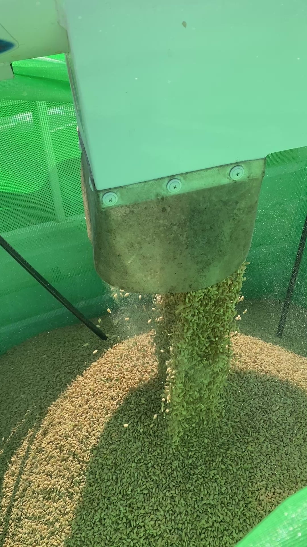 令和7年度産「さとっこ元氣米」 ― あなたの一口が、未来の田んぼを守ります。